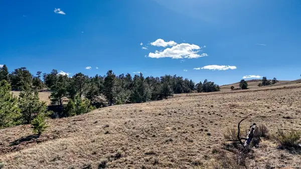 Lot 5090 & 5097 Arikara, Hartsel, CO 80449