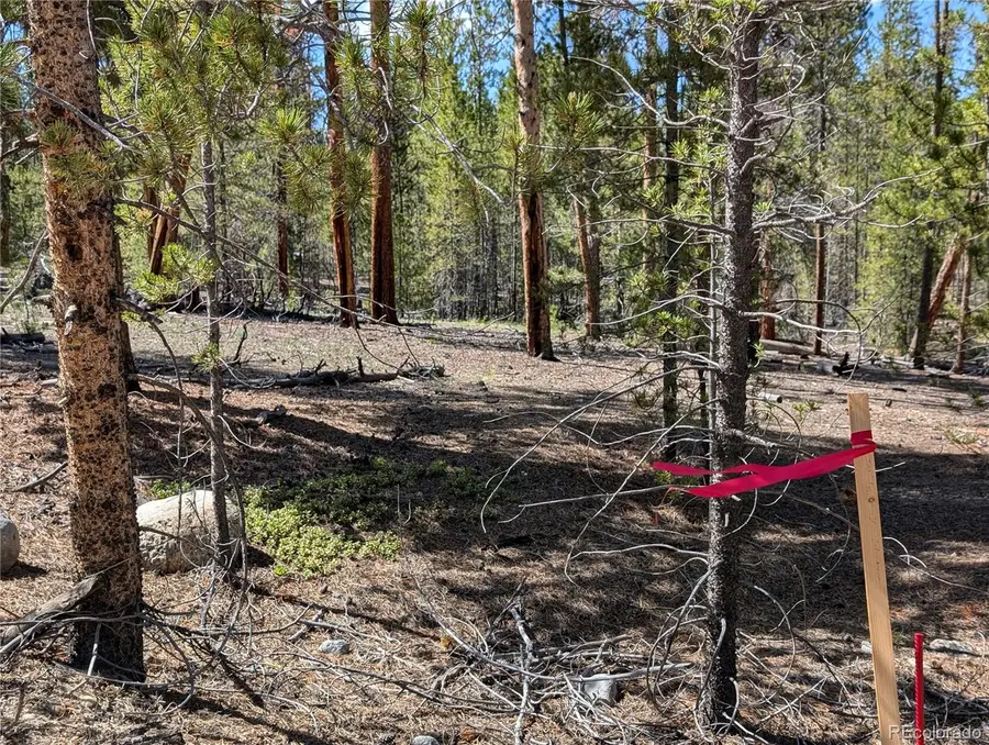 495 Birch Drive, Twin Lakes, CO 81251 - #2