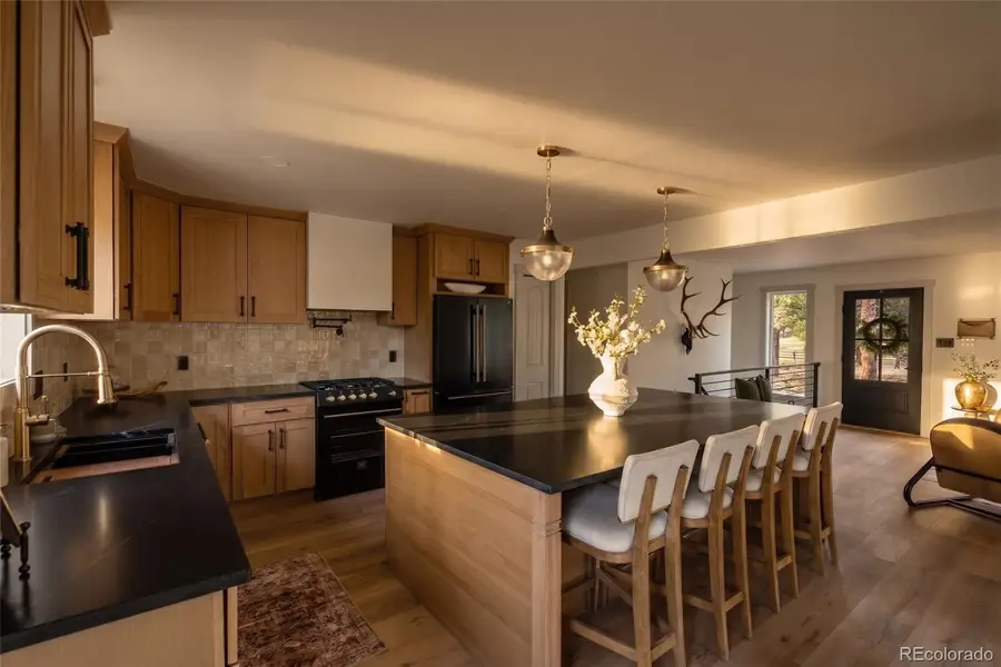 33691 Nova Road, Pine, CO 80470 - #3