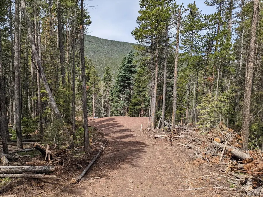 3331 Purnell Lane, Fort Garland, CO 81133 - #2