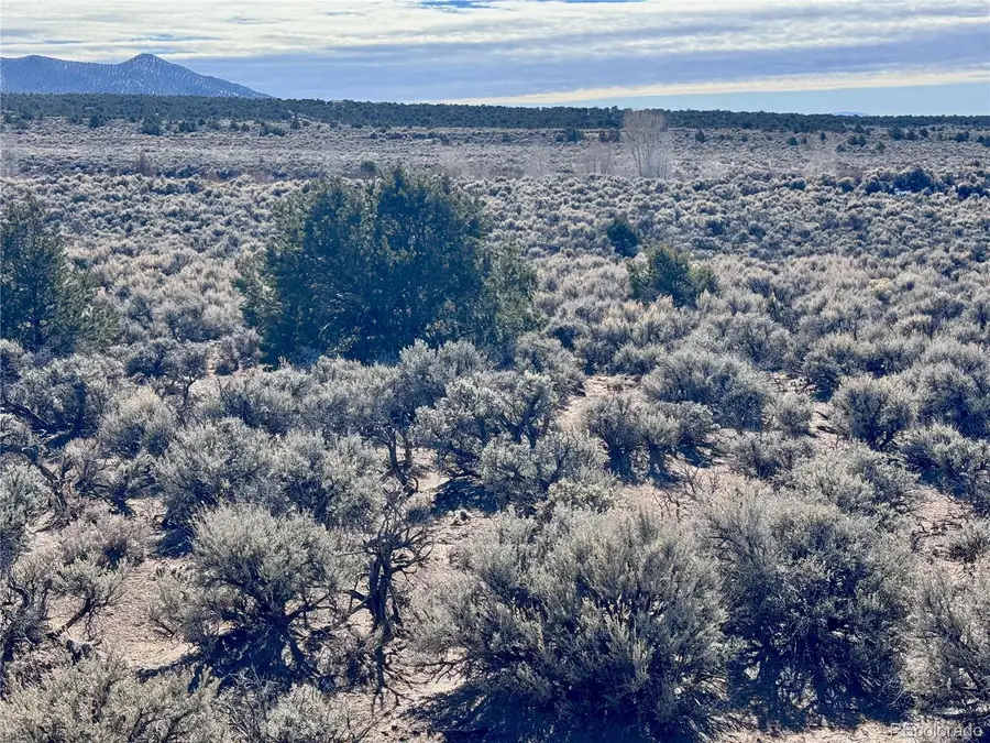 lot 663 Slegers Road, Fort Garland, CO 81133 - #3