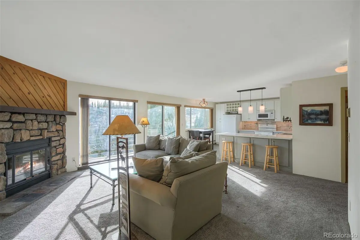 9825 Ryan Gulch Road #201, Silverthorne, CO 80498 - Image #1