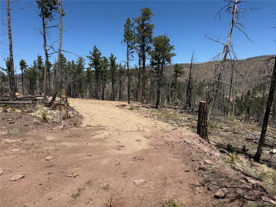 Lot 1154 Bluhdorn Place, Fort Garland, CO 81133 - #2