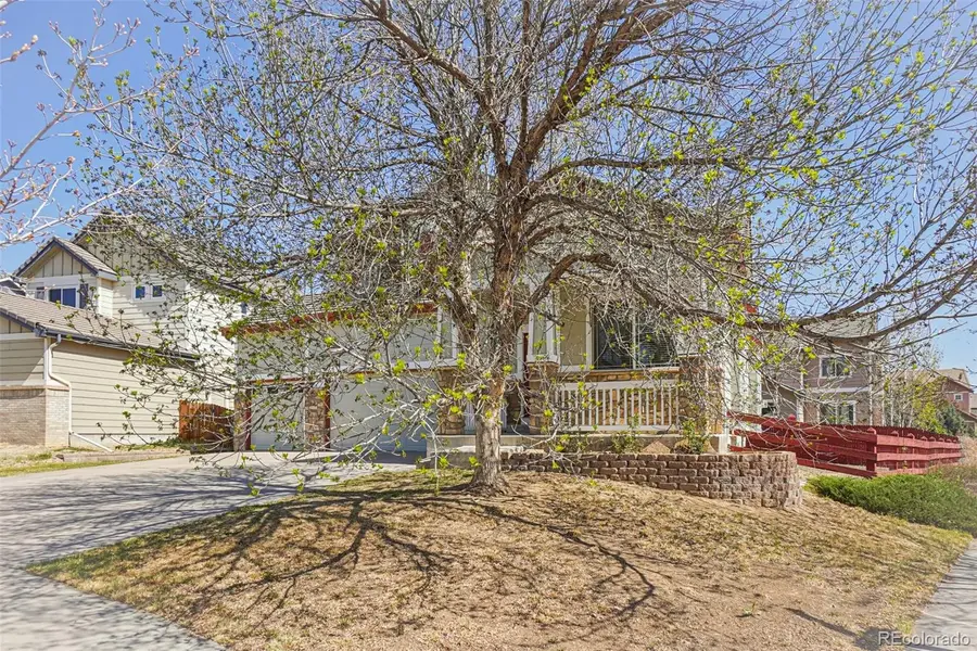 16493 E 98th Way, Commerce City, CO 80022 - #3
