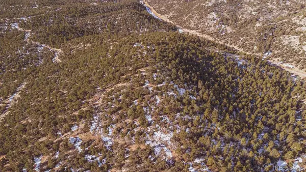 Gulch Road, Cotopaxi, CO 81223