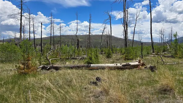 Lot 1617 Kopf Lane, Fort Garland, CO 81133
