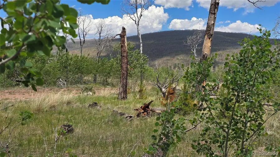 Lot 1617 Kopf, Fort Garland, CO 81133 - #2