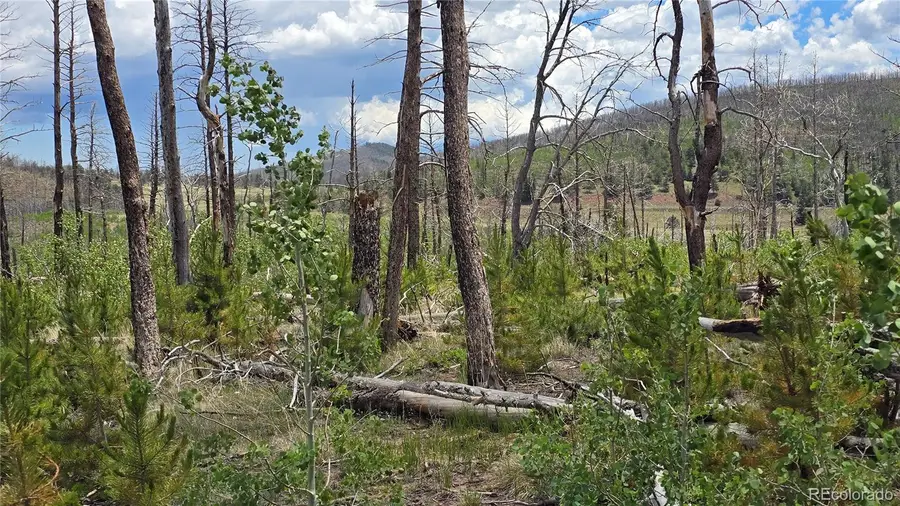 Lot 1617 Kopf, Fort Garland, CO 81133 - #3