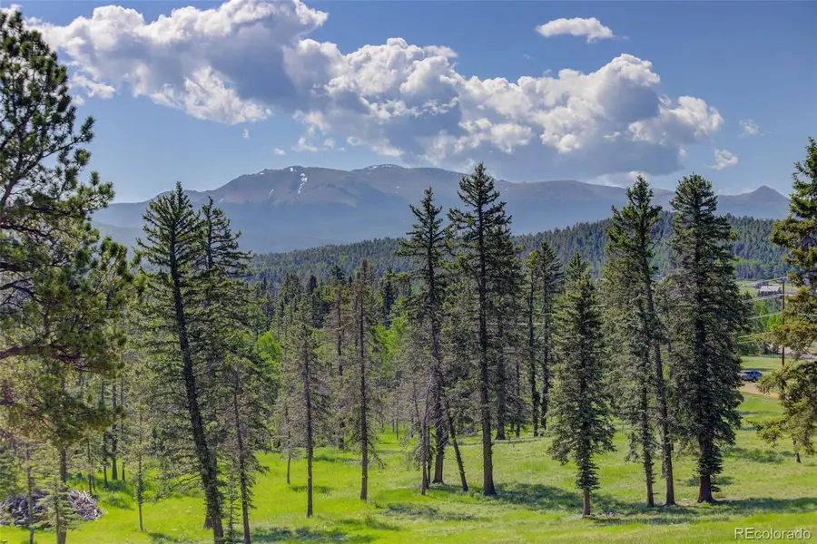 4797 County Road 42, Divide, CO 80814 - #3