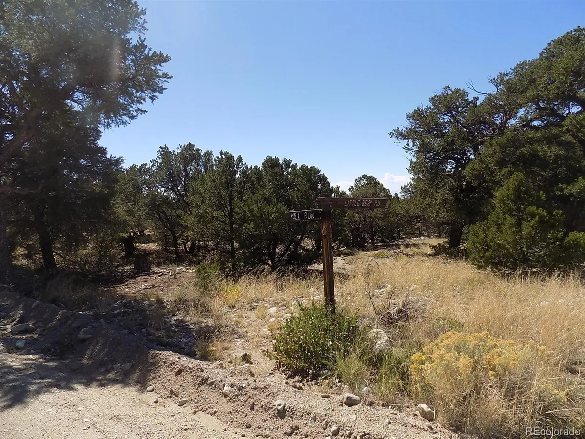 Little Bear Road, Mosca, CO 81146 - #1