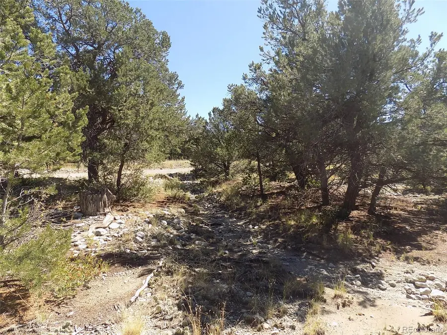 Little Bear Road, Mosca, CO 81146 - #2
