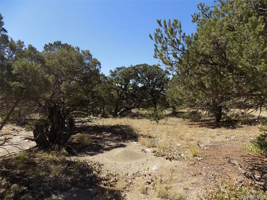 Little Bear Road, Mosca, CO 81146 - #3