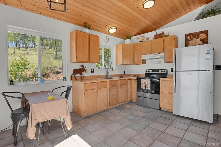 498 Granite Lane, Cripple Creek, CO 80813 - Image #2