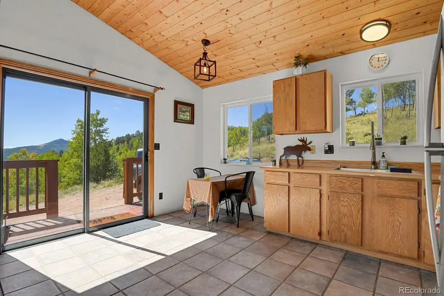498 Granite Lane, Cripple Creek, CO 80813 - Image #3