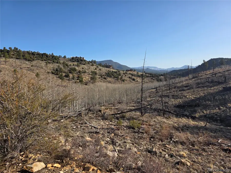 302 Rickel Circle, South Fork, CO 81154 - Image #3