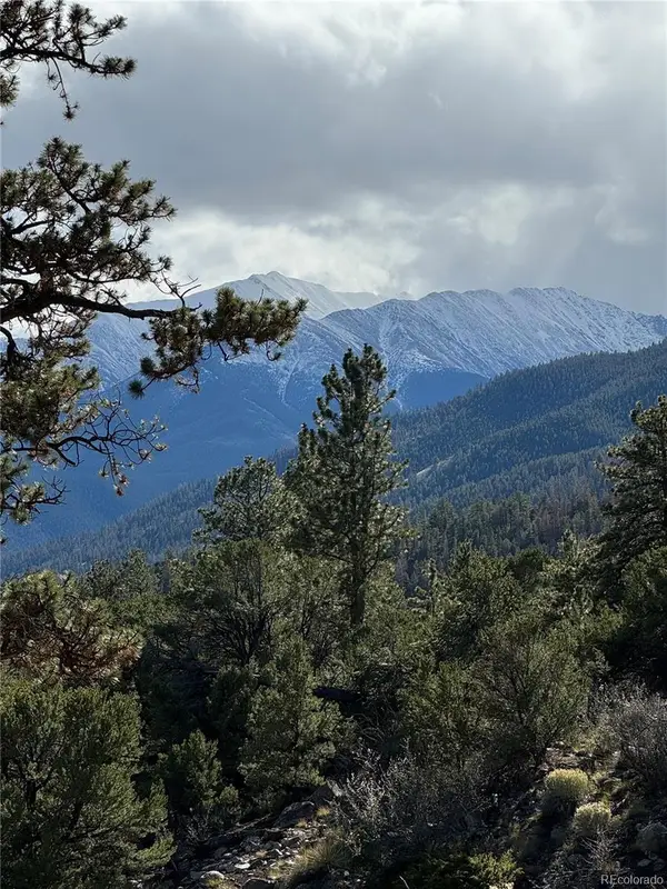 Trails End, Buena Vista, CO 81211