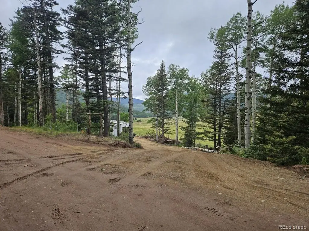 Lot 2841 Wendt Lane, Fort Garland, CO 81133 - Image #1