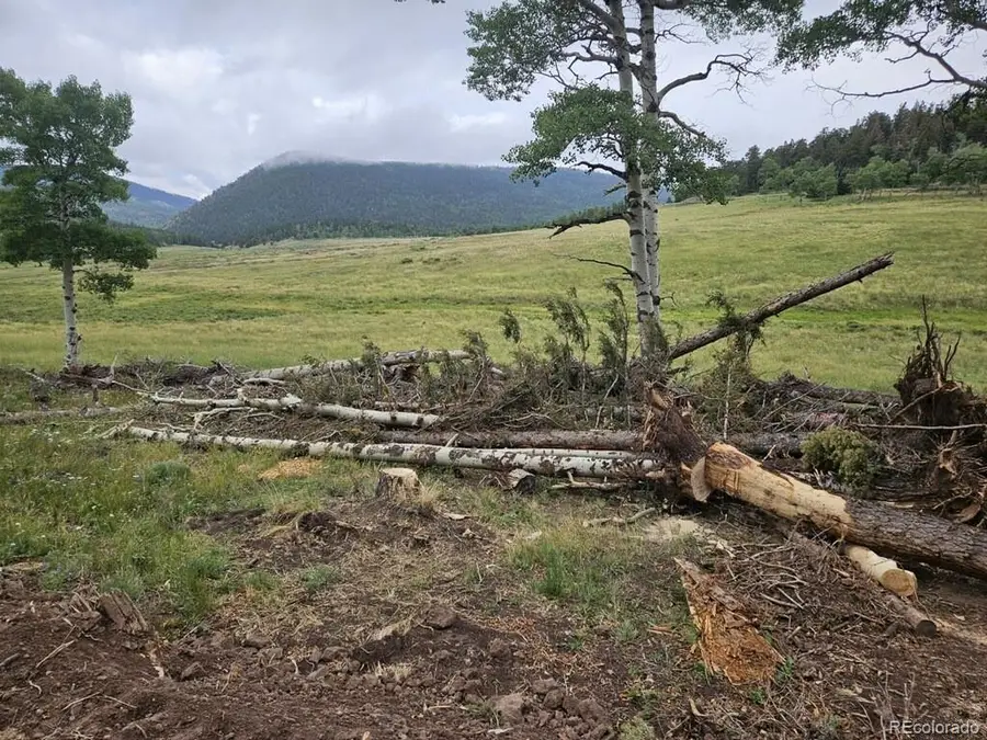 Lot 2841 Wendt Lane, Fort Garland, CO 81133 - Image #3