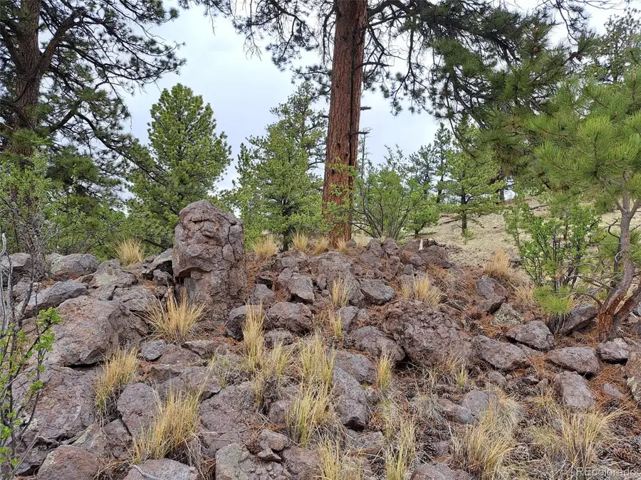 00 Dog Soldier Trail, Hartsel, CO 80449 - #2