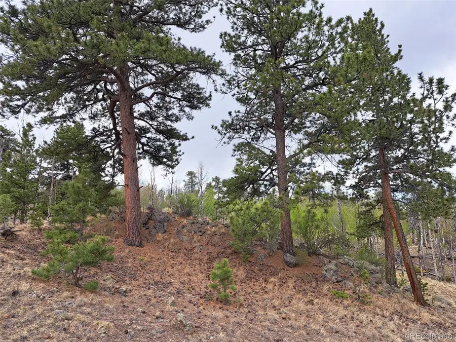 00 Dog Soldier Trail, Hartsel, CO 80449 - #3