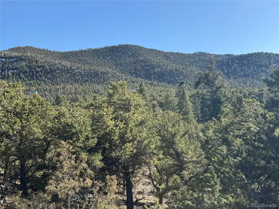 Lots 2045-2047 Pfotenhaur Road, Fort Garland, CO 81133 - #3