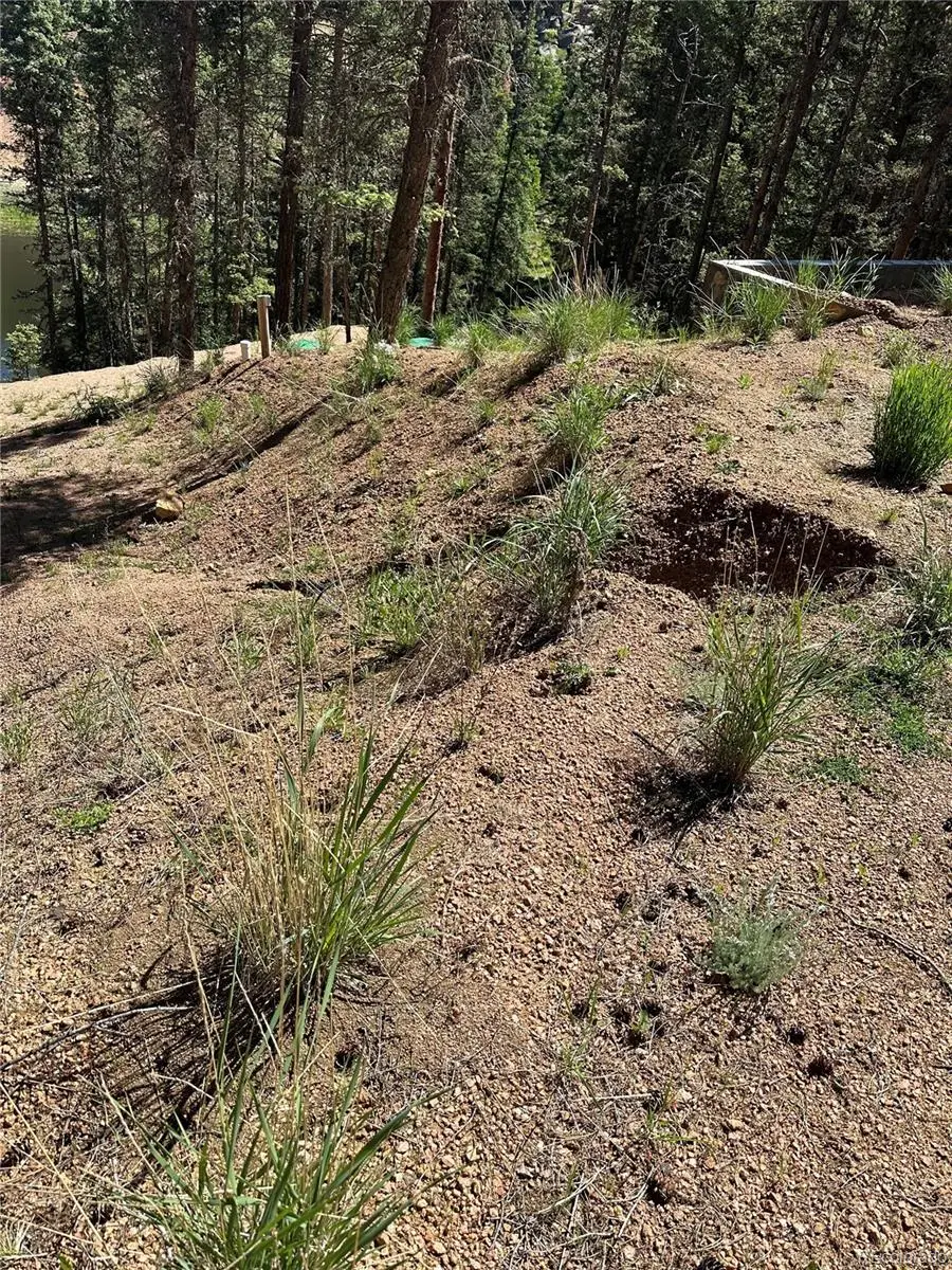 67 Gerka Lane, Florissant, CO 80816 - #1