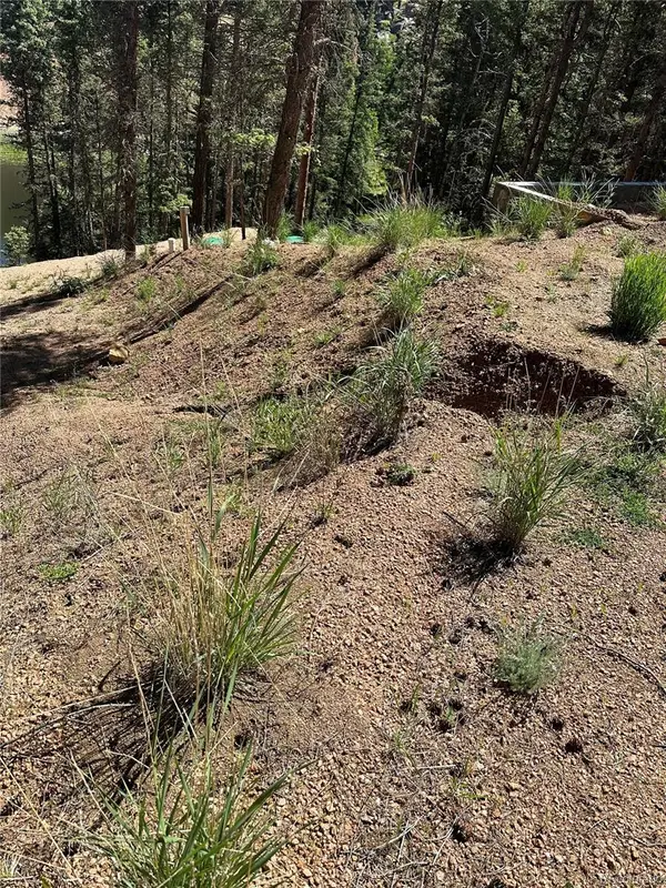 67 Gerka Lane, Florissant, CO 80816