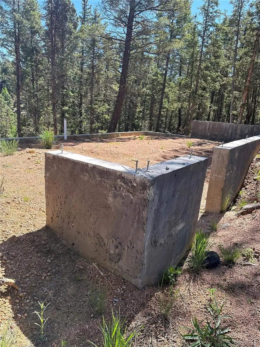 67 Gerka Lane, Florissant, CO 80816 - #3