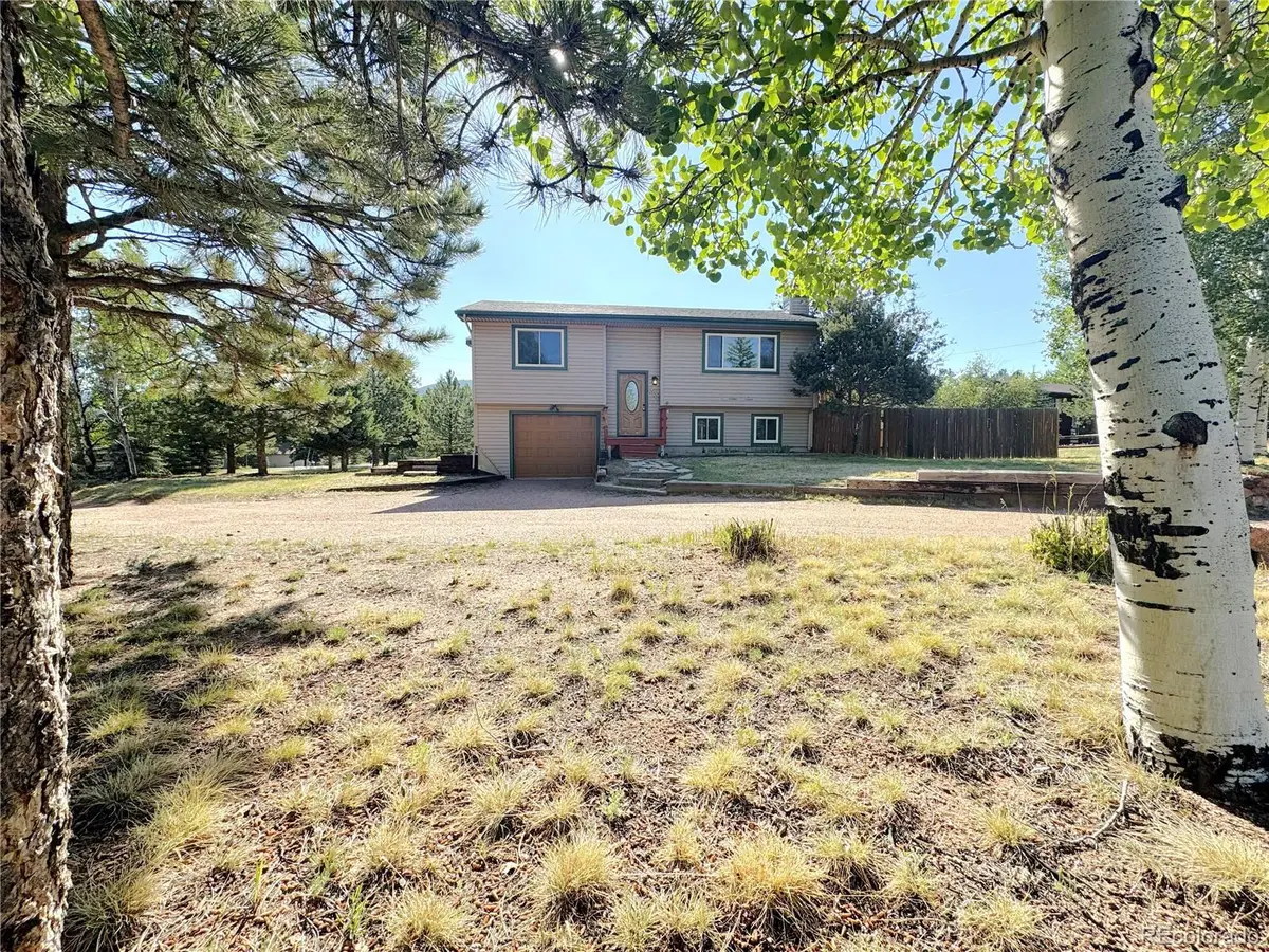 1056 Sundance Circle, Woodland Park, CO 80863 - #1