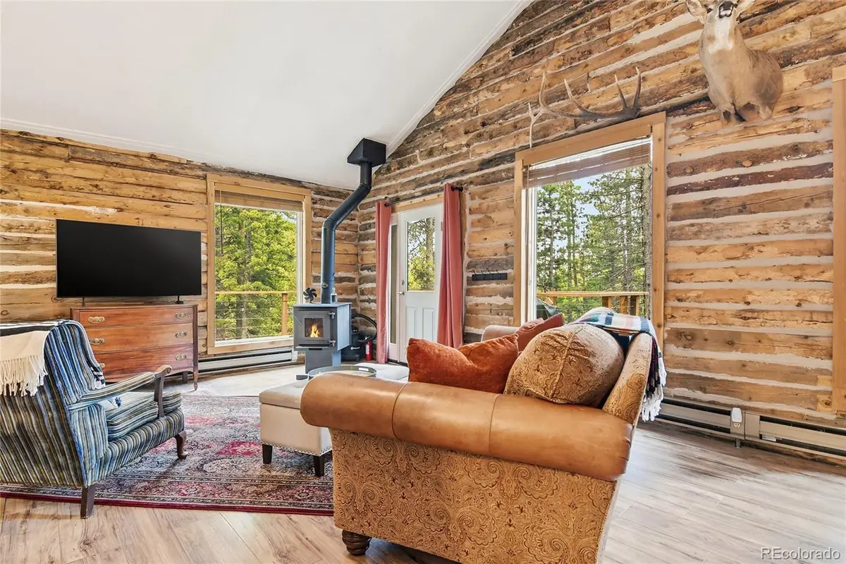 185 Alice Road, Idaho Springs, CO 80452 - #1