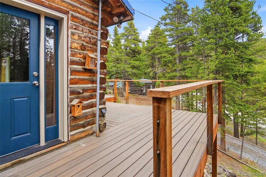 185 Alice Road, Idaho Springs, CO 80452 - #2