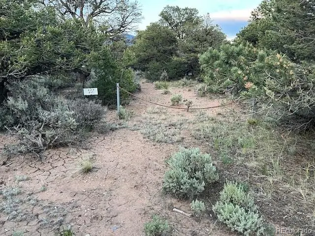 7386 Platten Road, Fort Garland, CO 81133 - Image #2