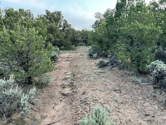 7386 Platten Road, Fort Garland, CO 81133 - Image #3