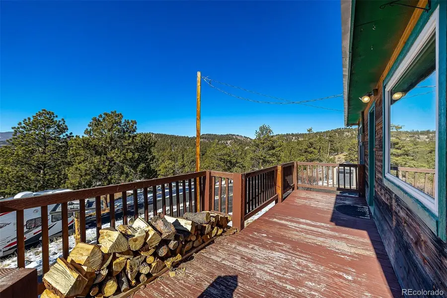 201 Lake Drive, Florissant, CO 80816 - #3