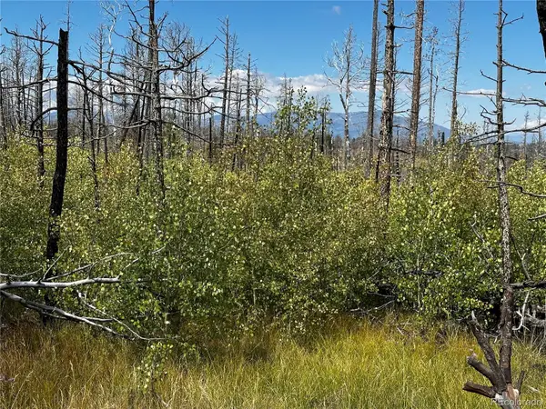 1175-1176 Macomber Lane, Fort Garland, CO 81133