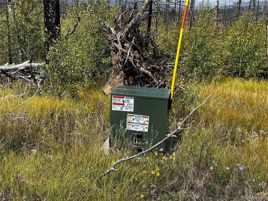 1175-1176 Macomber Lane, Fort Garland, CO 81133 - #2