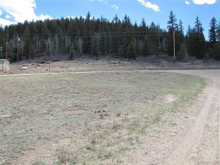 122 Coach Lane, Hartsel, CO 80449 - #3