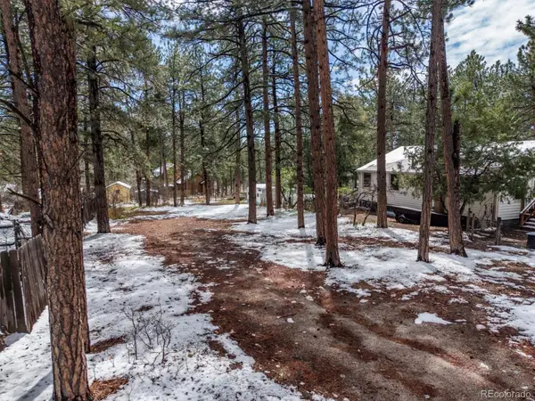 9231 Curtis Road, Larkspur, CO 80118