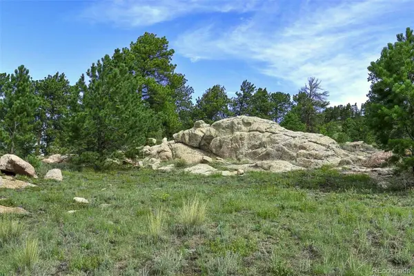 32 Peak, Guffey, CO 80820
