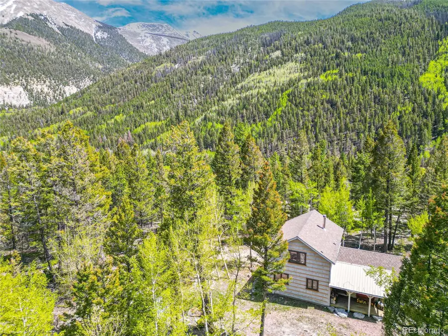 22590 County Road 292a, Nathrop, CO 81236 - #2