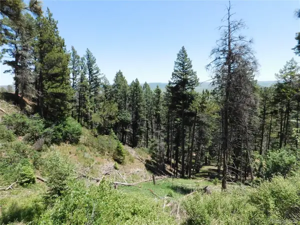 13520 Woodmoor West Drive, Larkspur, CO 80118