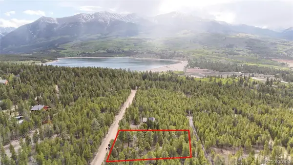 833 Peak View, Twin Lakes, CO 80461