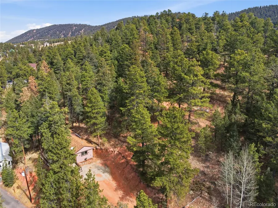 19253 E Us Highway 24, Woodland Park, CO 80863 - #3