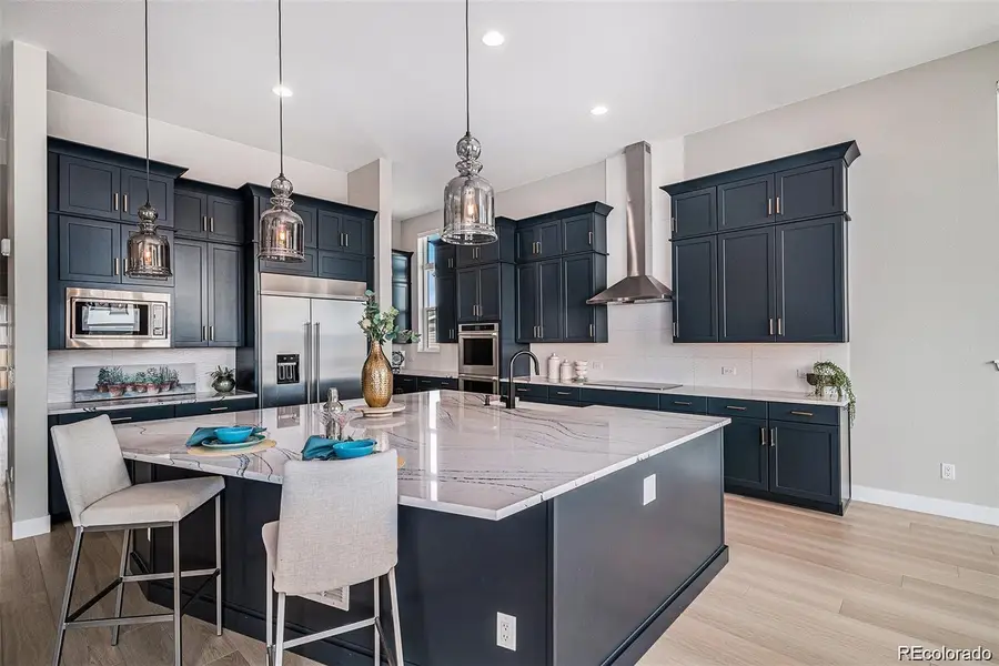 14341 Beebalm Loop, Parker, CO 80134 - #2