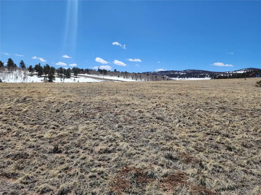 244 Brahma Circle, Hartsel, CO 80449 - #2