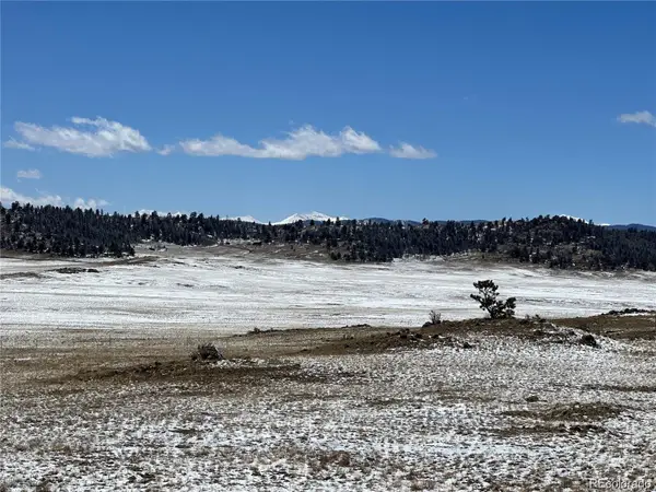 0001 Dog Chief Trail, Hartsel, CO 80449