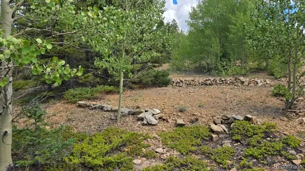 Lot 6804 Ryland Road, San Luis, CO 81152