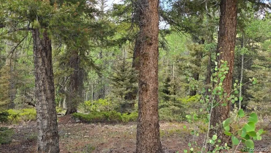 Lot 6804 Ryland Road, San Luis, CO 81152 - #2