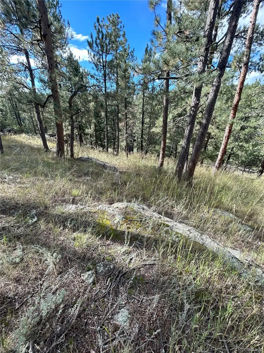 5233 S Road A, Evergreen, CO 80439 - Image #1