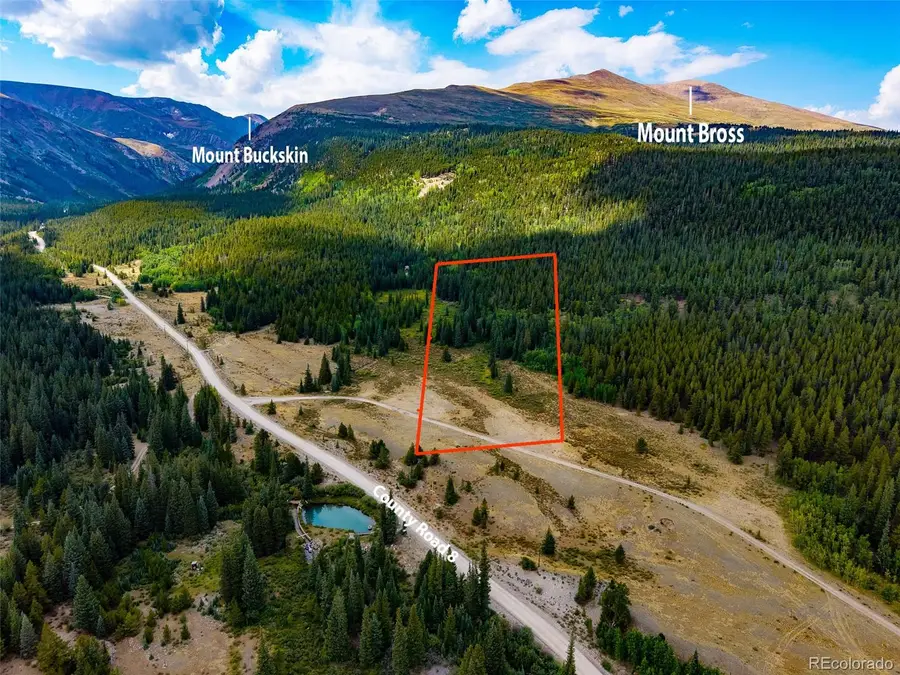 1421 Buckskin Road, Alma, CO 80420 - Image #2